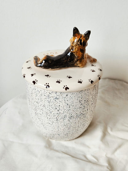 Urna para mascota