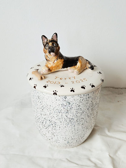Urna para mascota